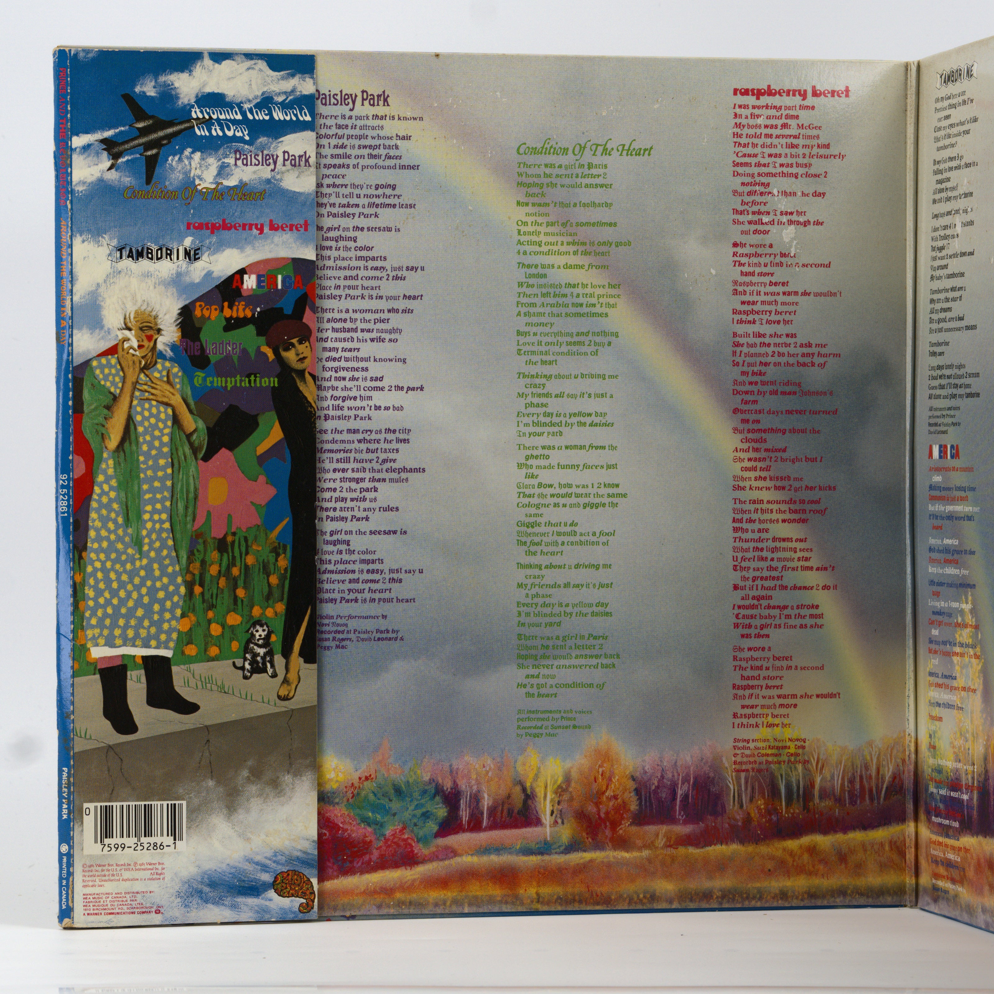 Back cover