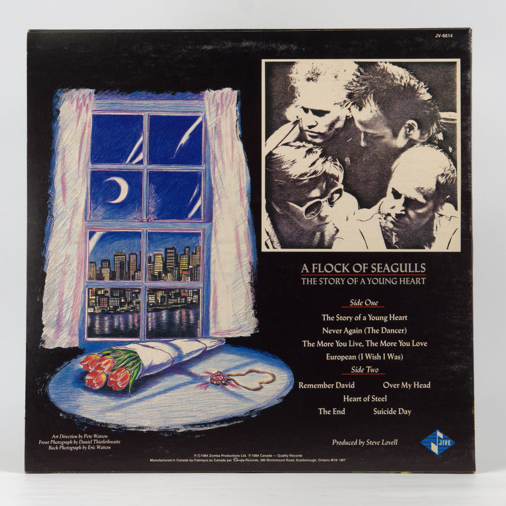 Back cover