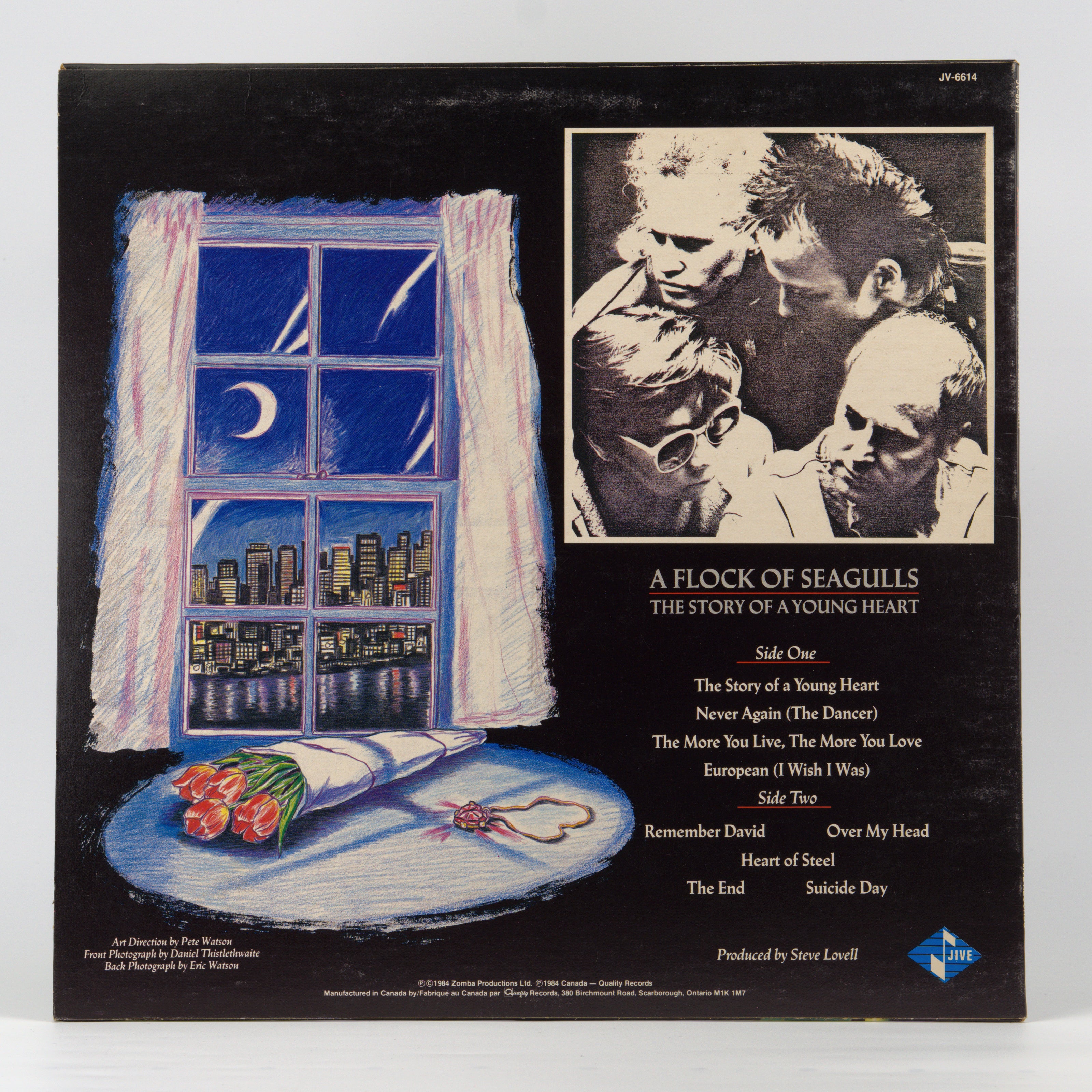 Back cover