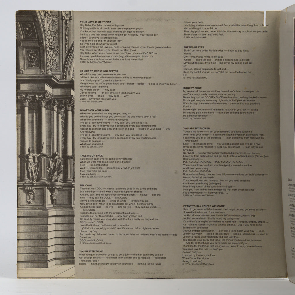 Back cover