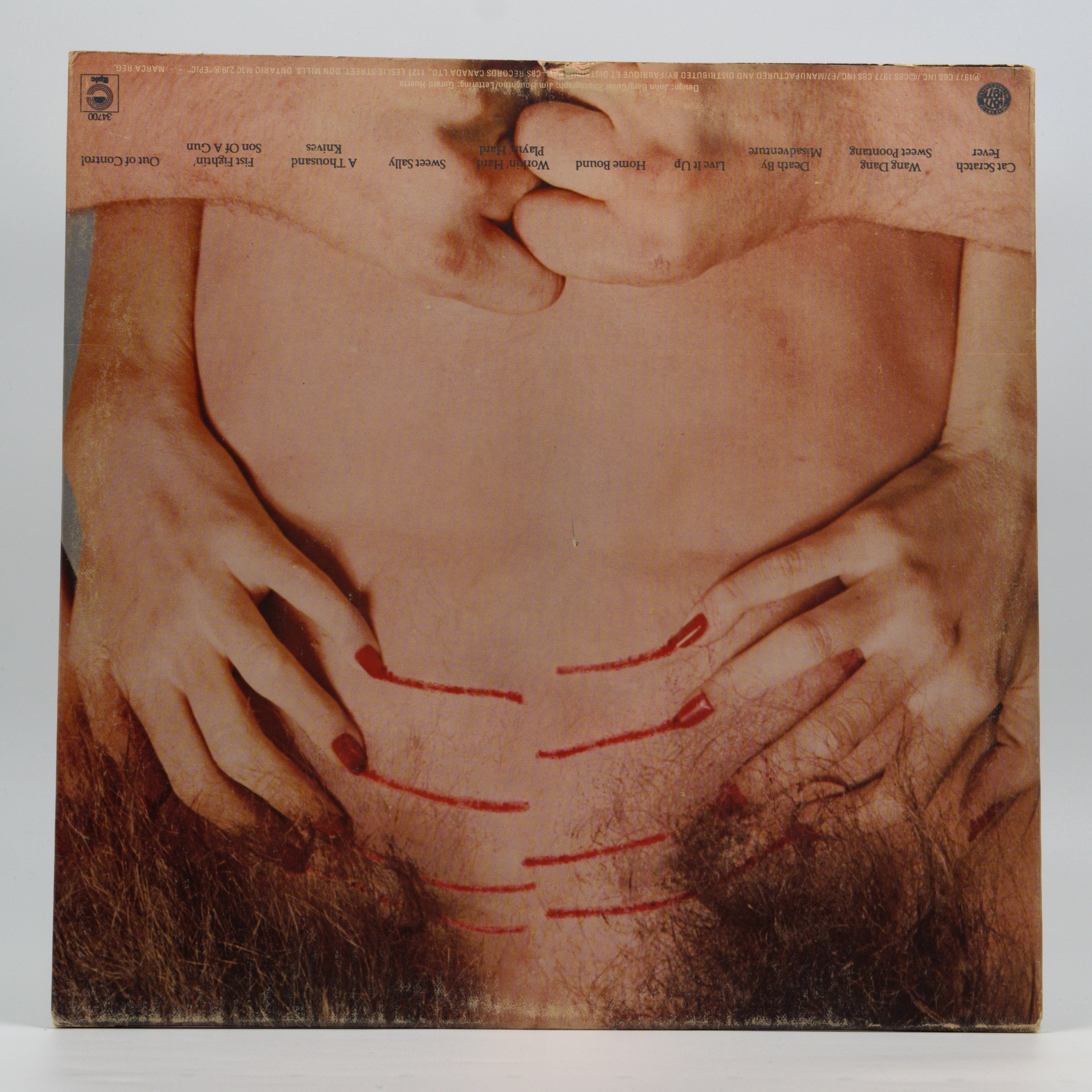 Back cover