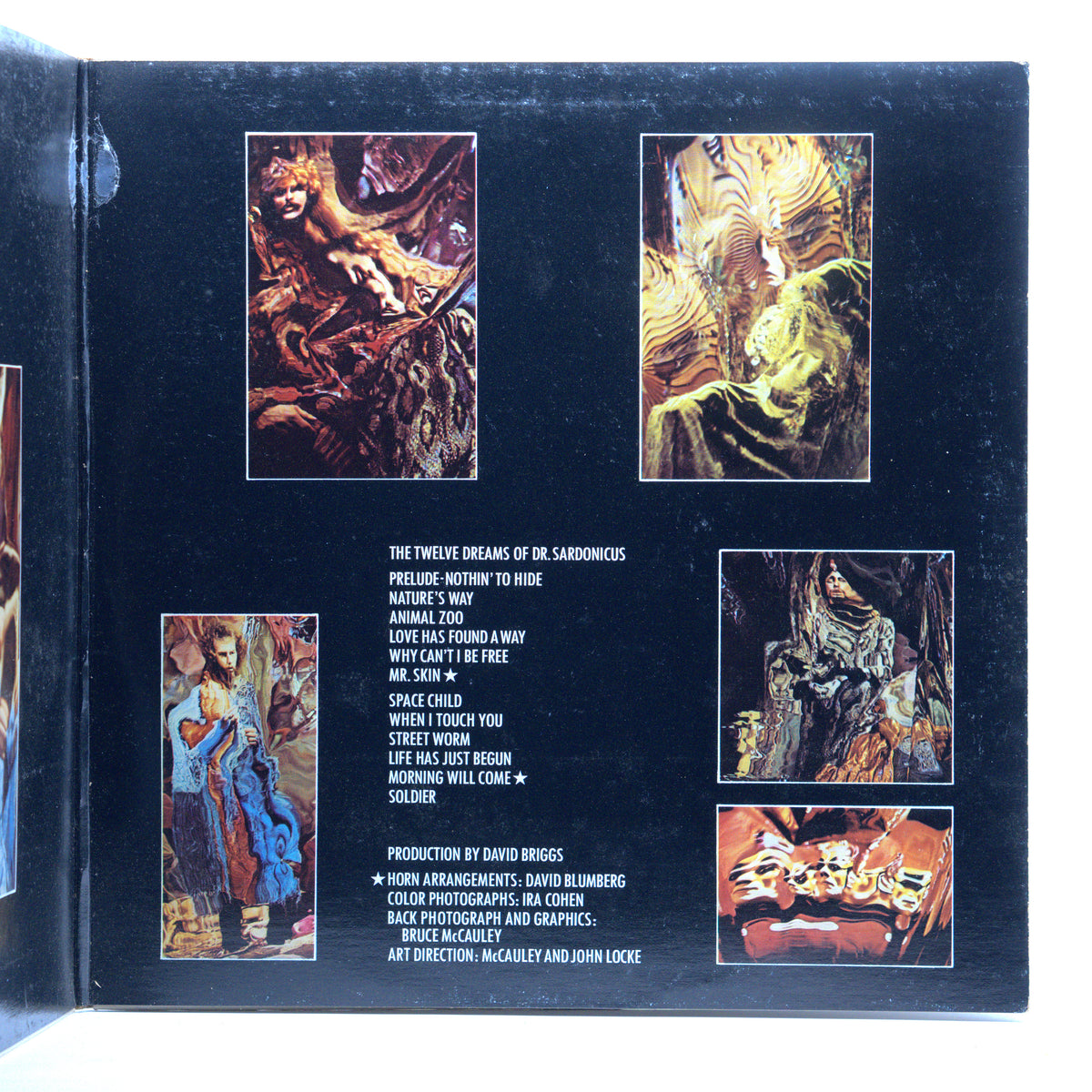 Back cover