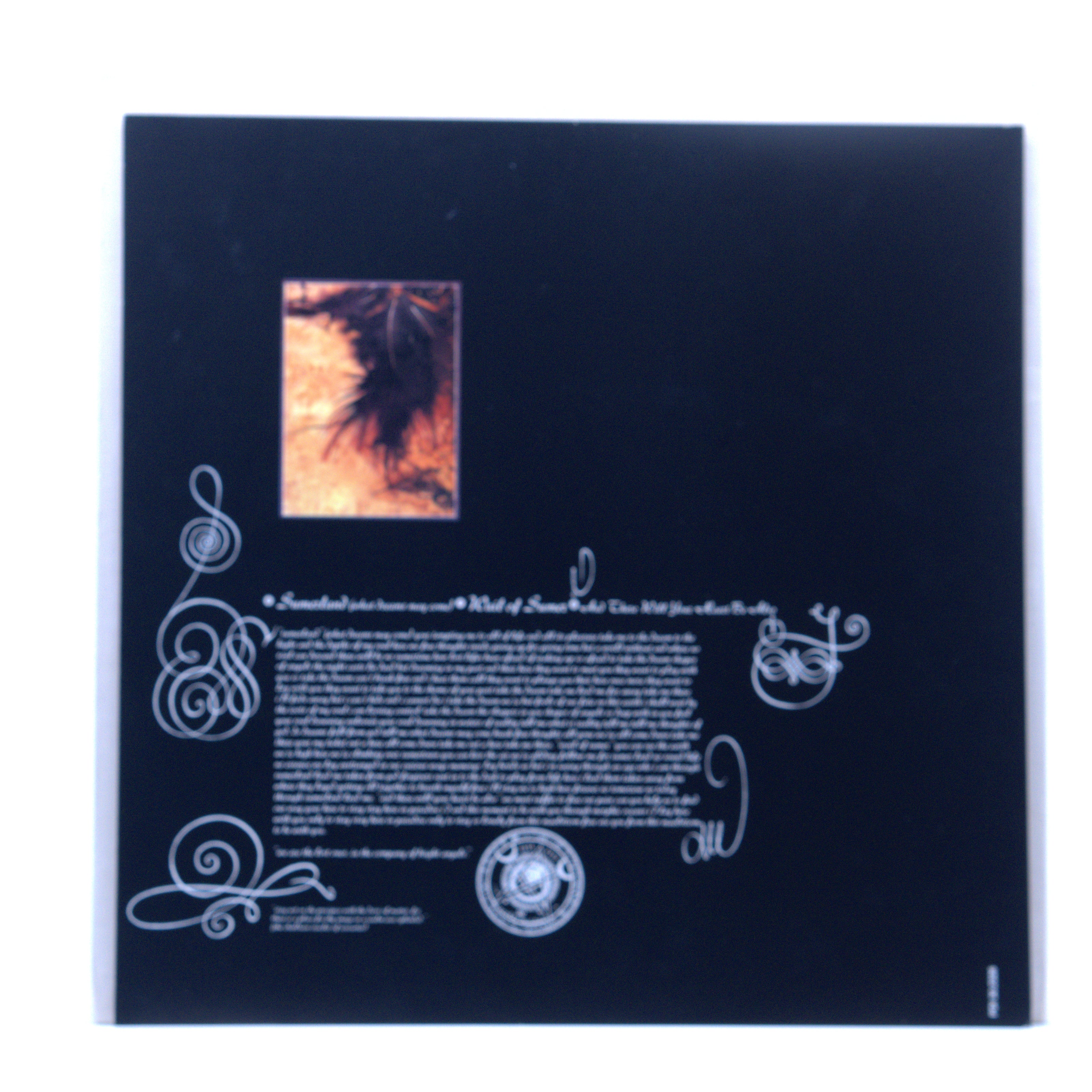 Back cover
