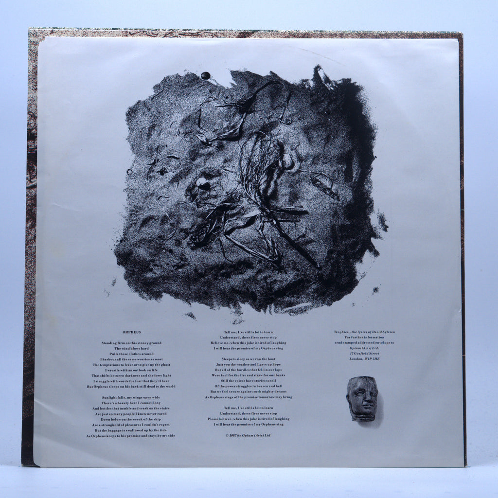Back cover