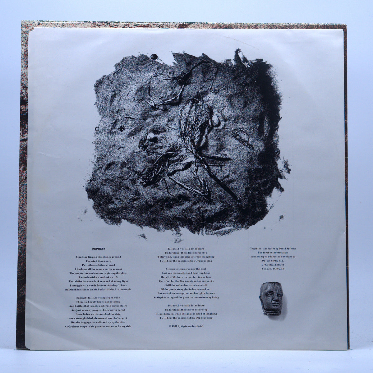 Back cover