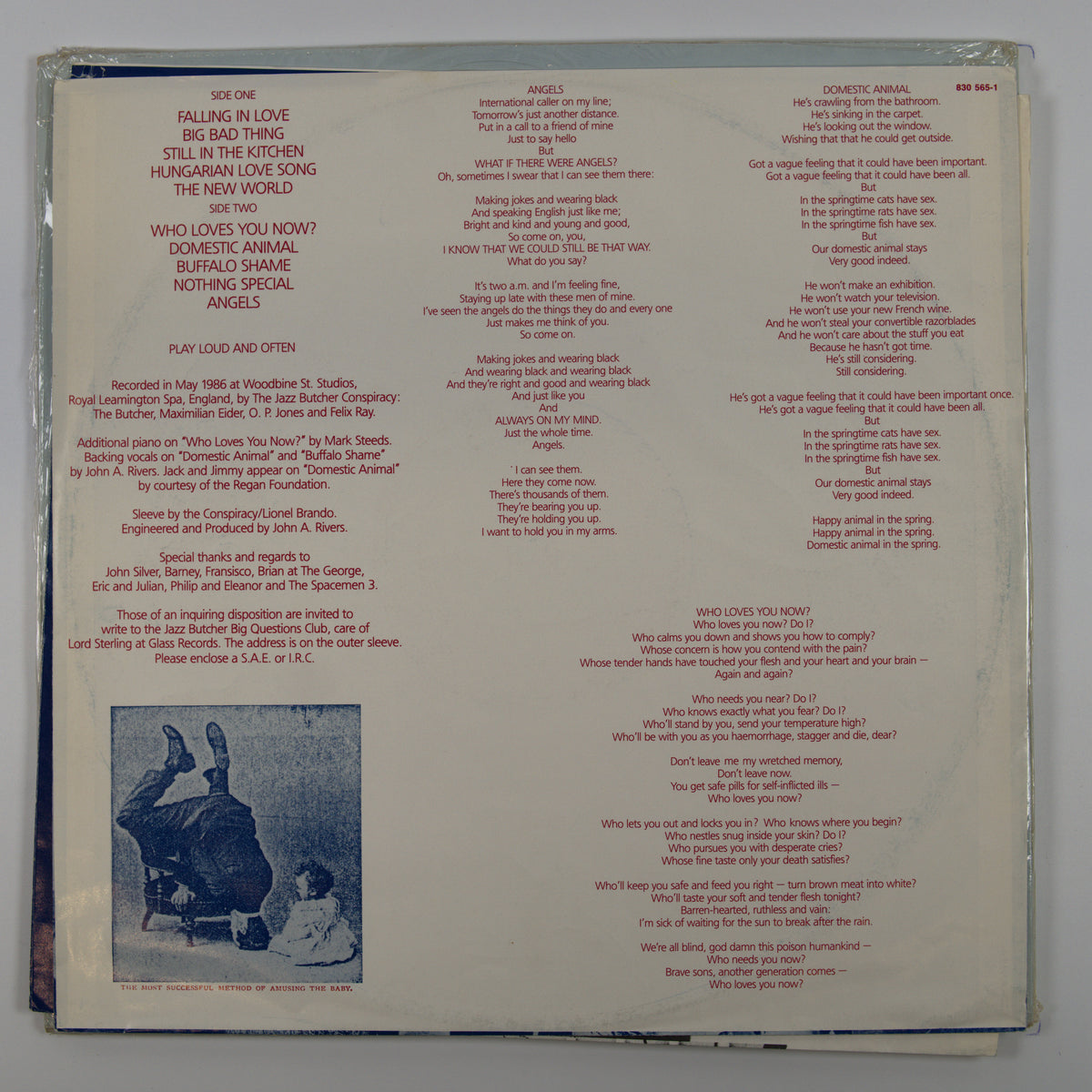 Back cover
